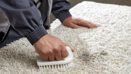 Professional Rug Cleaning Chirnside Park